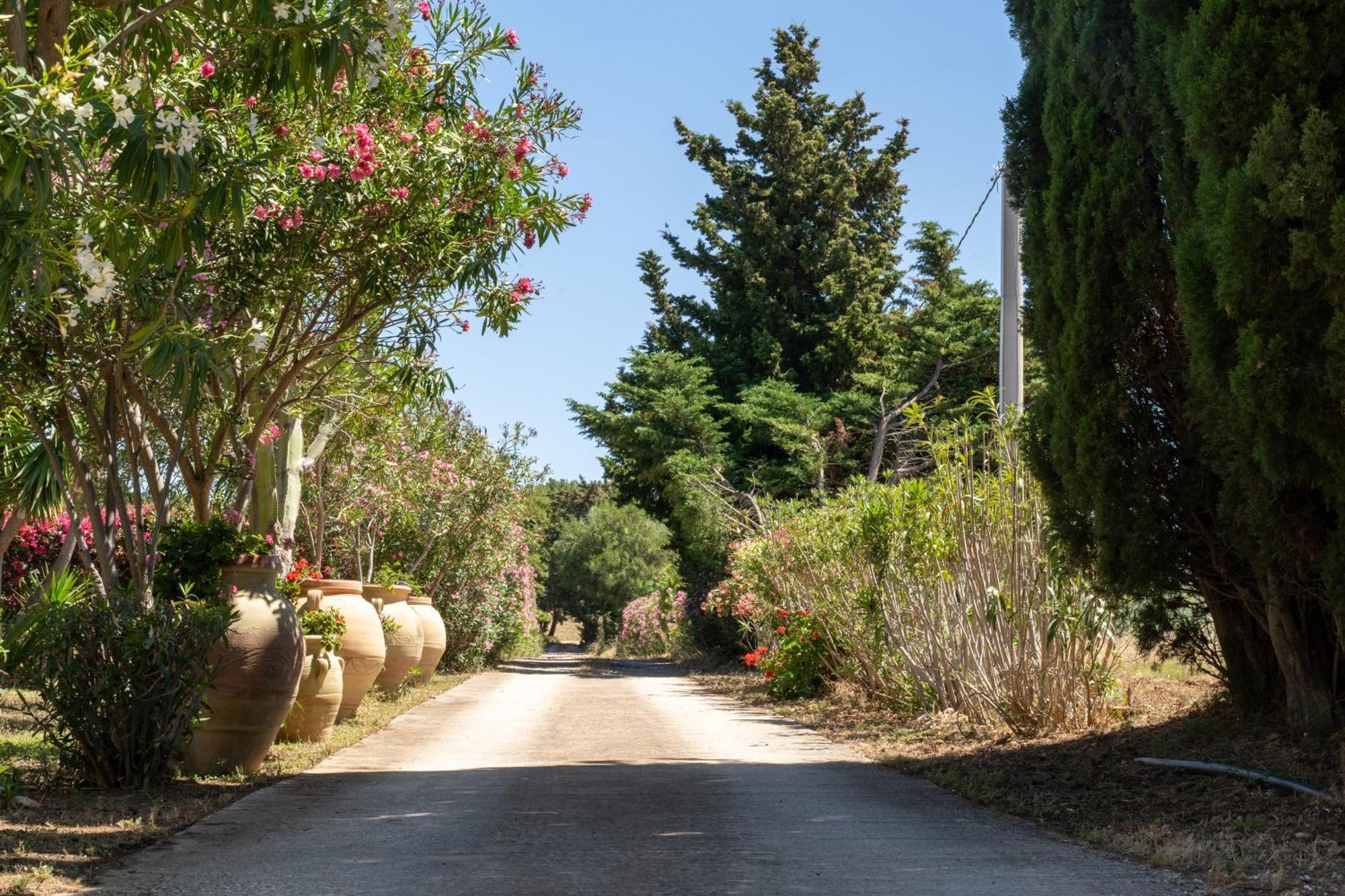 Casa Vacanze Verdemare Con Piscina Ribera Dış mekan fotoğraf